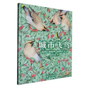 娜塔莉娅·葛别叶娃 俄罗斯 译者 叶文杰 娜塔莉娅·葛别叶娃二十一世纪 正版 绘画 图书城市飞鸟