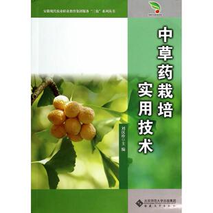 正版图书草栽培实用技术刘汉珍  主编安徽大学出版社教材纸质书籍