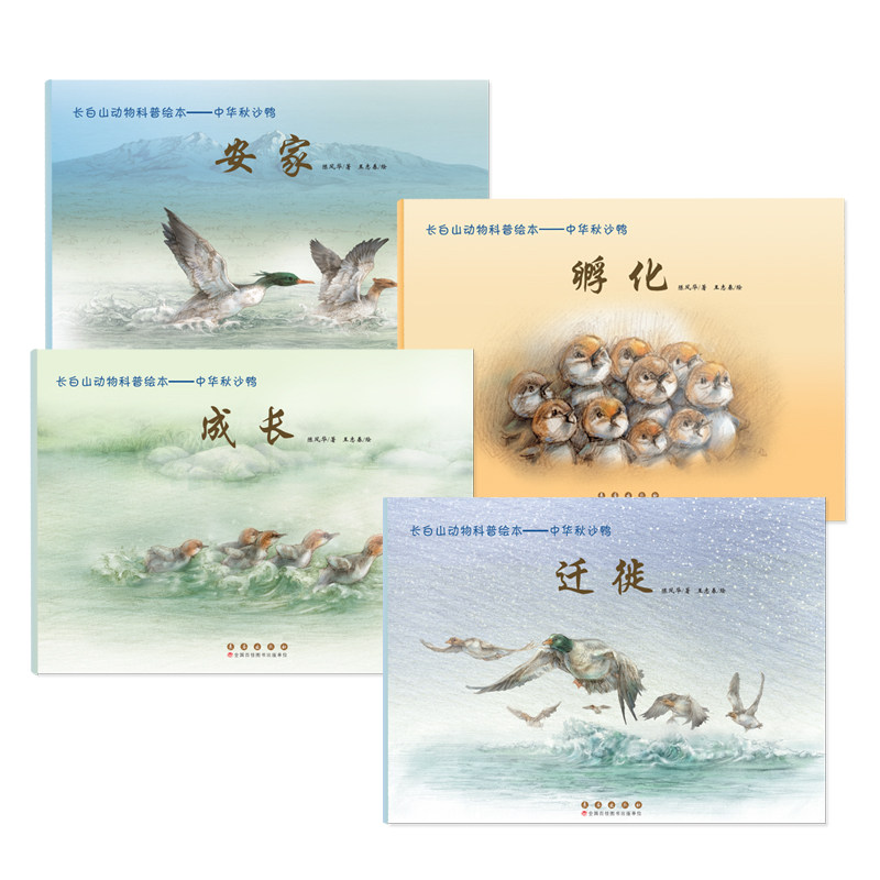 正版图书长白山动物科普绘本&mdash;&mdash;中华秋沙鸭（全4册）陈凤华著，王志春绘长春出版社书籍\/杂志\/报纸/儿童读物/童书/科普百科