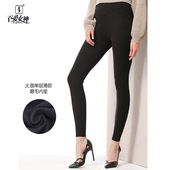 光面单层加绒秋裤 女春秋季 保暖裤 一体绒裤 百爱女神打底裤 大码 薄款