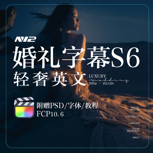 N12轻奢婚礼字幕插件S6