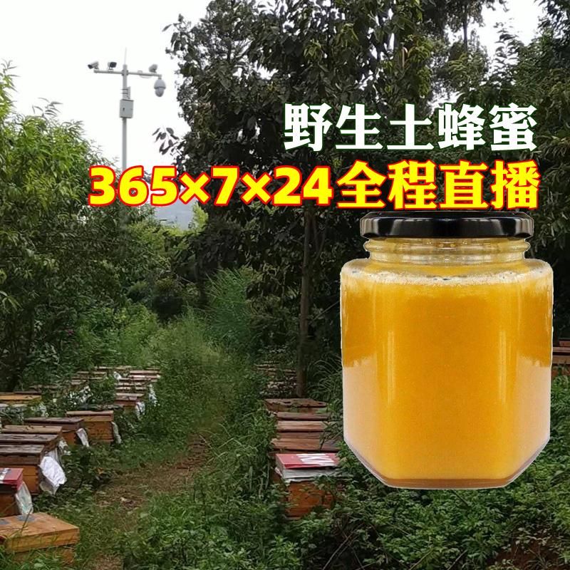 高活性百花土蜂蜜纯正天然封盖野生中蜂糖伙烧崖老蜜滋补养颜洋槐
