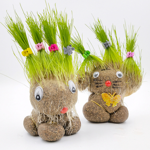 大眼草头娃娃创意绿植室内桌面迷你盆栽植物儿童手工种植小礼物