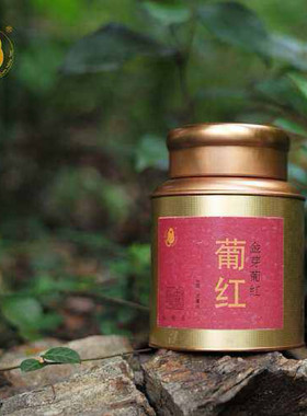 复旦大学李辉教授监制 茶道经严选十二正茶足少阳红茶  金芽葡红