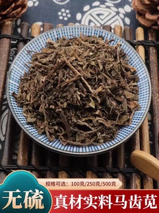 【送煮药袋】中药材马齿笕马齿草马齿菜干五行草马齿菜苋菜马苋