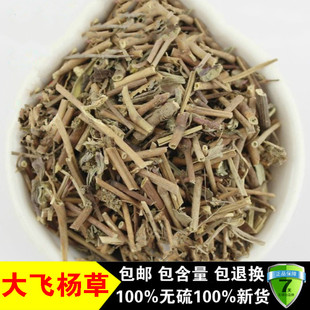 优质 新货中药材大飞扬草 飞扬草 大乳汁草 奶子飞杨草 500克