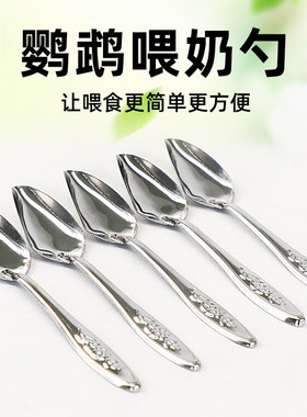 手养鹦鹉雏鸟喂奶喂食勺