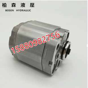 F4.2 F8.0 F1.6 F6.8 F5.8F F4.8 F3.2 F2.6 F2.1 F1.1 齿轮泵CBK