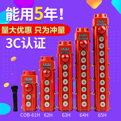 COB-61H 62H 63H 64H 65H行车按钮开关 防水起重控制盒电动葫芦