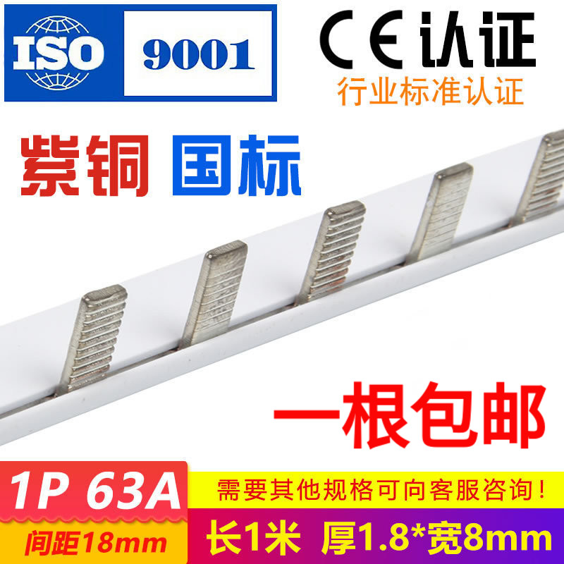 1p单进单出63a国标配电箱铜排
