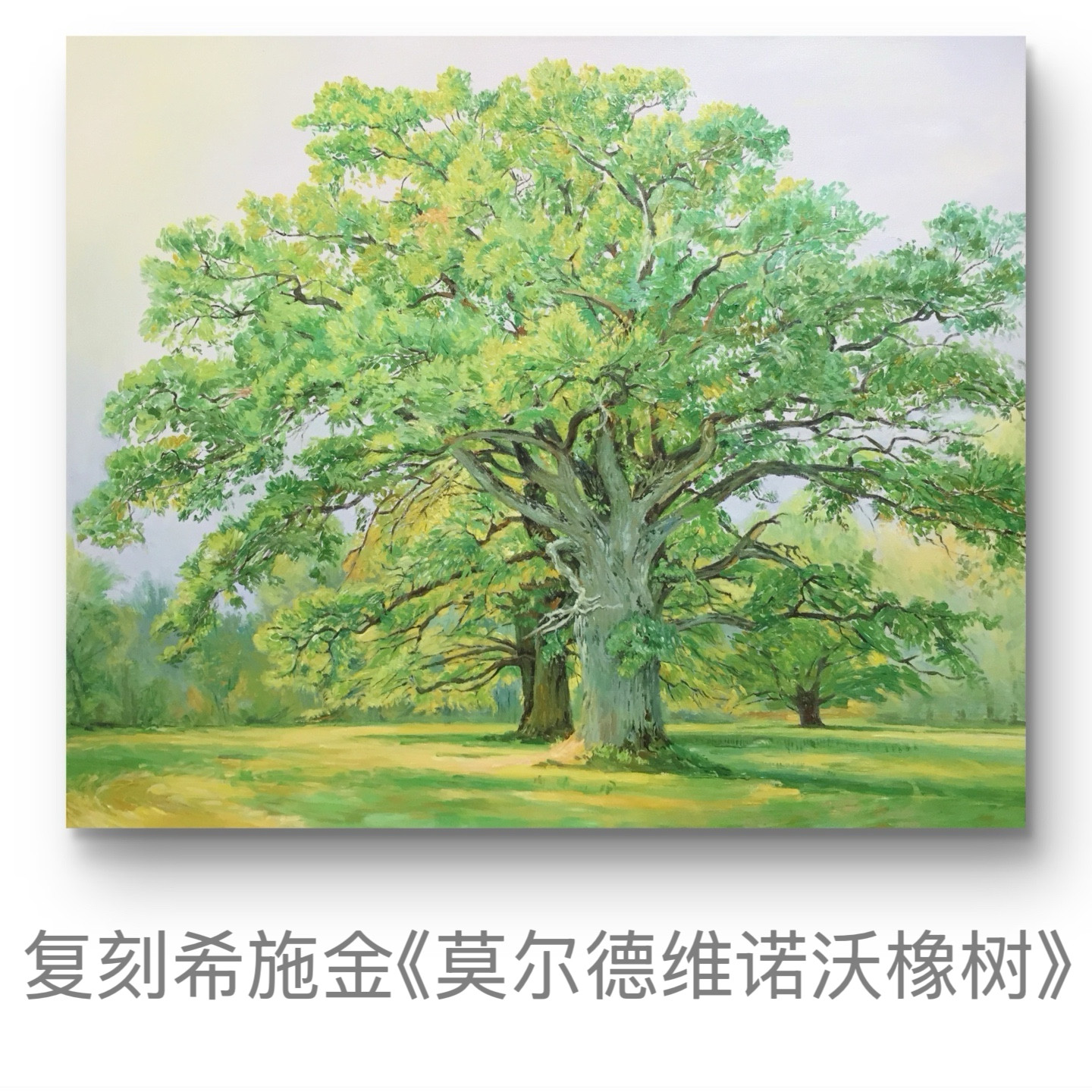 纯手绘希施金大树森林风景画客厅卧室餐厅玄关过道走廊装饰画