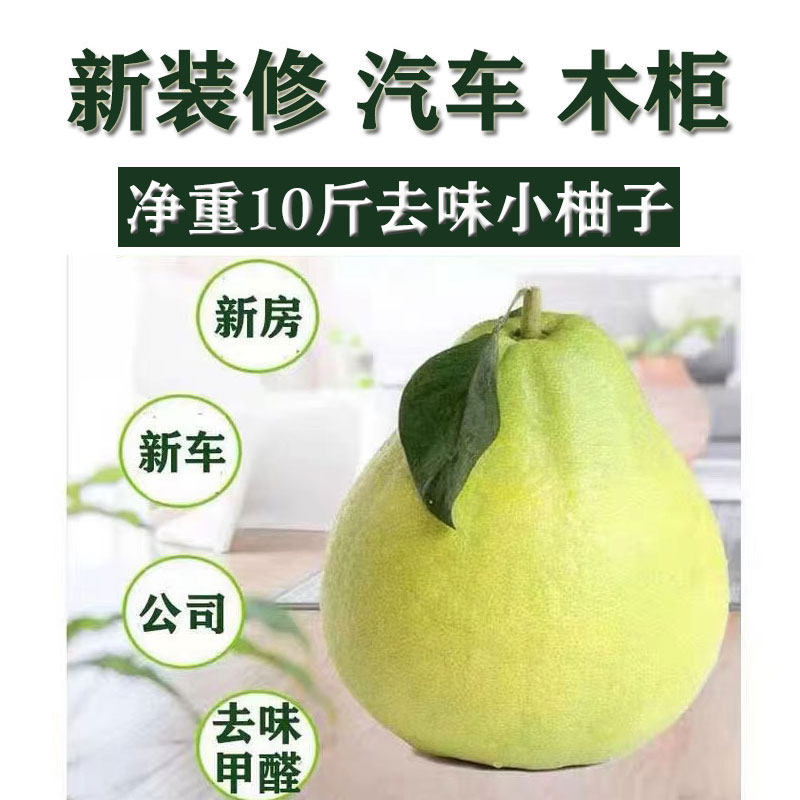 整个新鲜现摘小柚子新车除异味新房装修去味三红柚皮除甲醛蜜柚皮