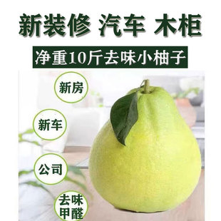 整个新鲜现摘小柚子新车除异味新房装修去味三红柚皮除甲醛蜜柚皮