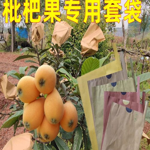 水果枇杷防鸟防晒专用套袋