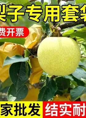 梨子套袋专用袋防虫防鸟加厚纸袋
