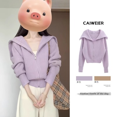 紫色针织衫女2025新款秋