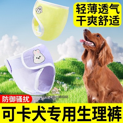 可卡犬专用母狗发情期安全裤女宝经期卫生裤防交配发情裤小狗护垫