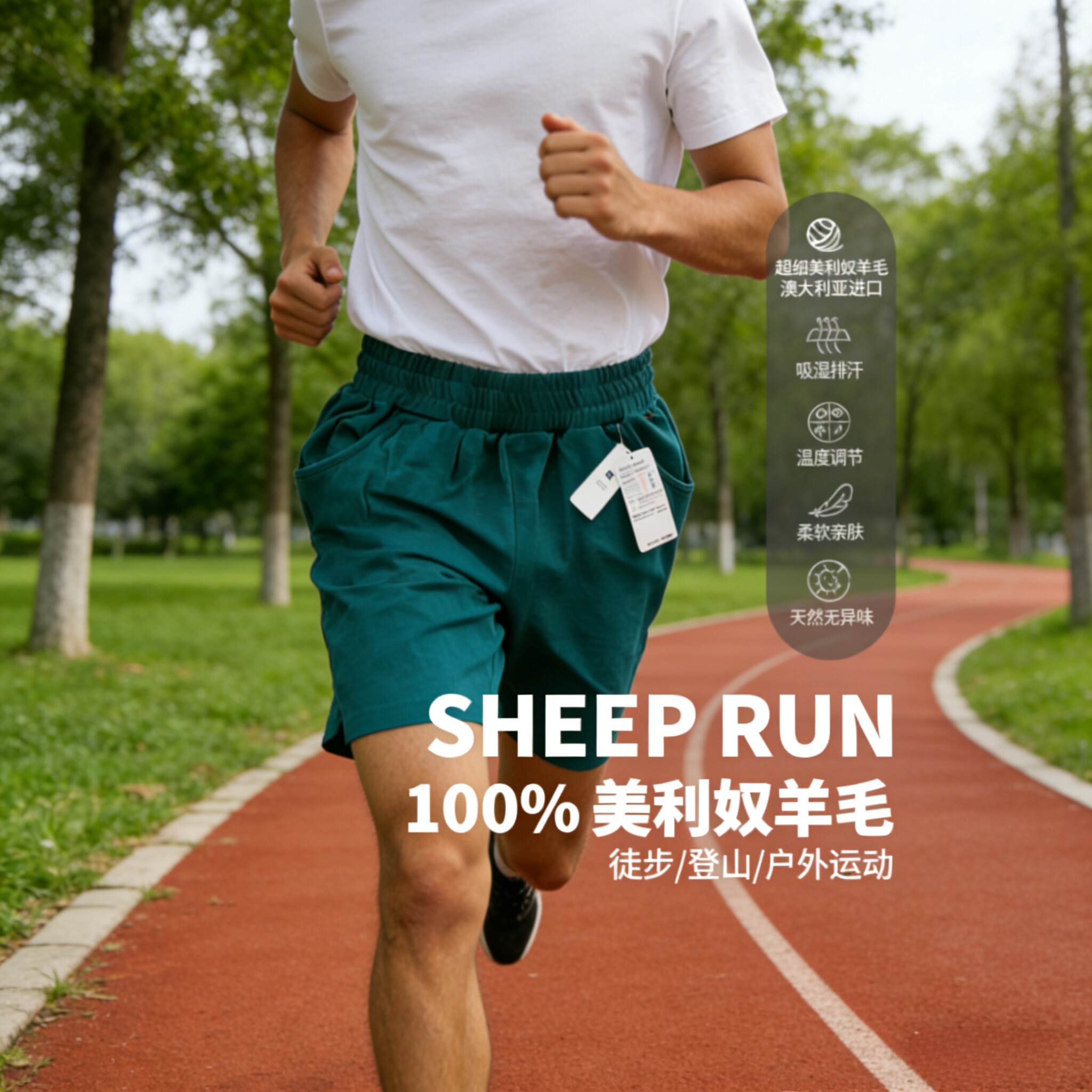 SHEEP RUN大牧场美利奴羊毛男短裤吸湿排汗轻薄特价透气户外运动