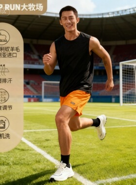 SHEEP RUN大牧场 美利奴羊毛18.5微米男运动休闲无袖背心吸湿速干