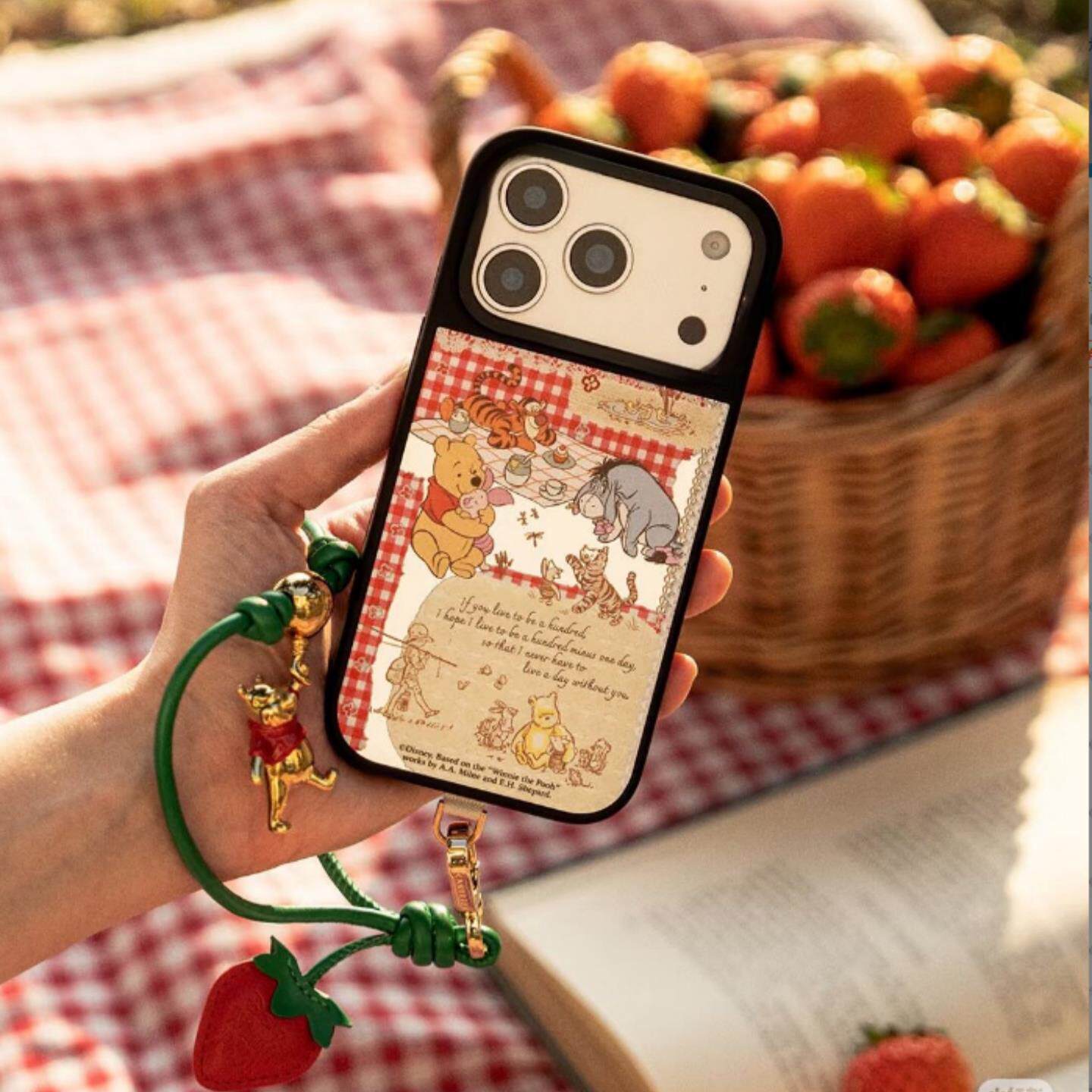 【韩国代购】新款小熊维尼花园手机壳适用苹果17/16promax外壳iphone15/14pro/plus防摔13/12磁吸Magsafe可爱