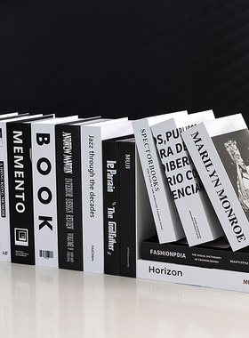 假书仿真书装饰品样板房网咖书房桌面摆件英文简约现代道具书盒