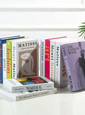 现代简约INS风装饰假书仿真书摄影拍摄道具书家居装饰摆件模型