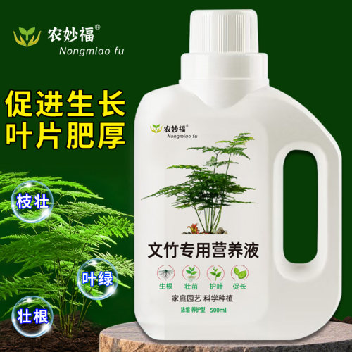 文竹专用营养液直喷型免稀释水培盆栽植物防黄叶花草绿植花卉通用