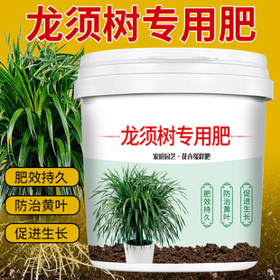 龙须树专用肥颗粒缓释型有机肥料增根壮苗防板结盆栽菜园四季通用