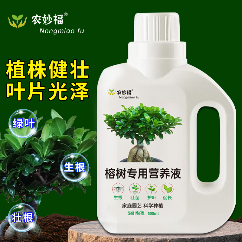榕树专用营养液防治黄叶掉叶园艺盆栽花卉绿植通用免稀释有机肥料