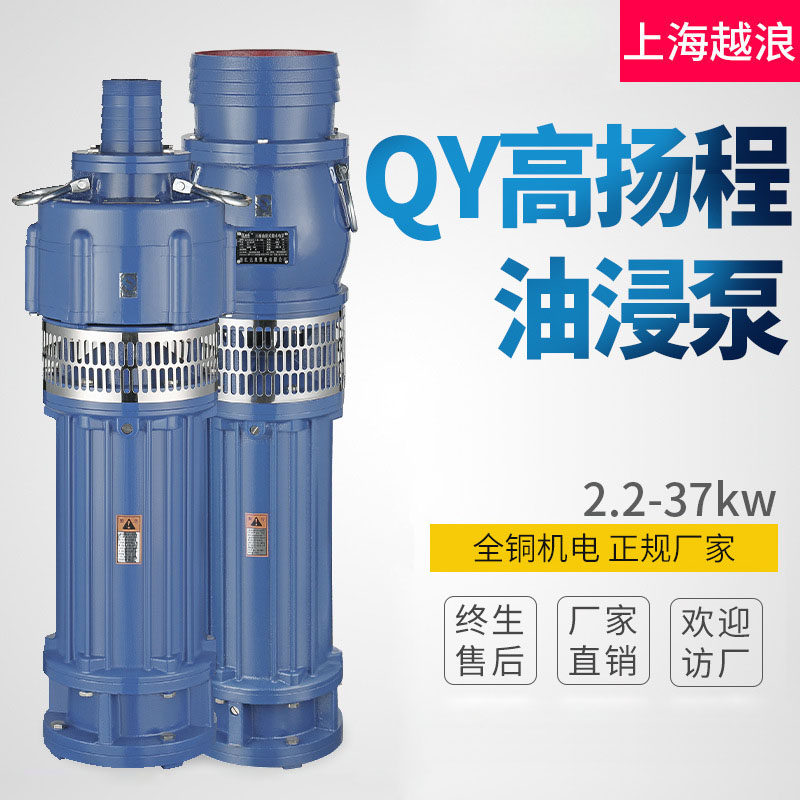 200QY250-5-4油浸式潜水泵农用养殖8寸大流量抽水泵三相喷泉泵