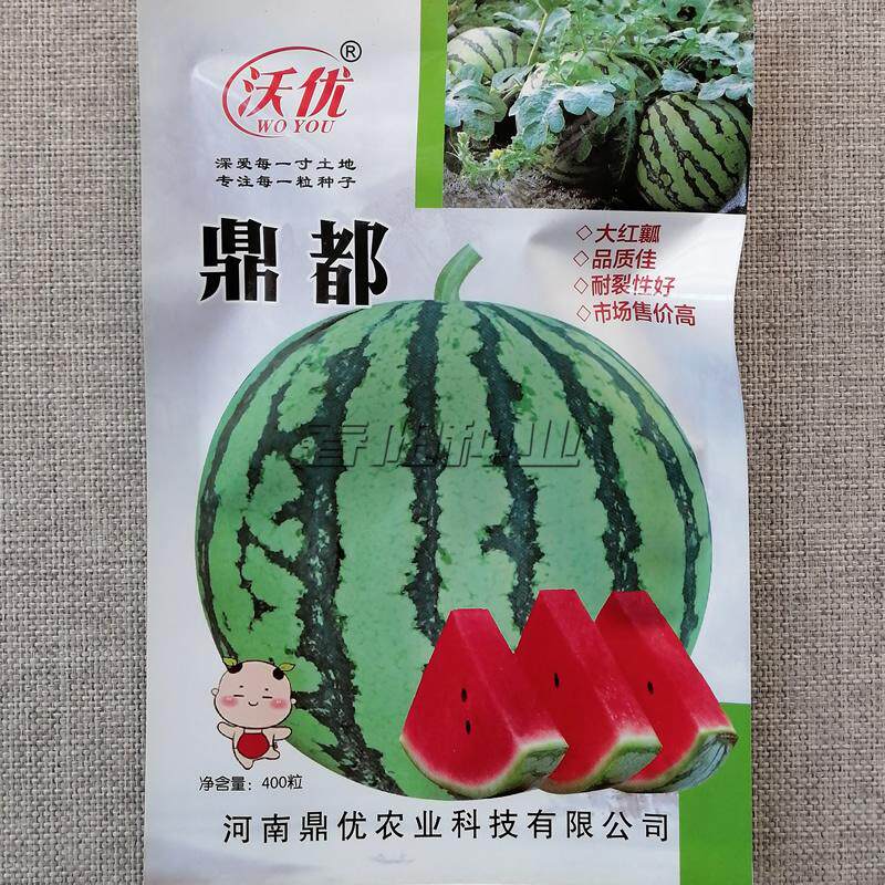 鼎优美都西瓜种子大果型超甜