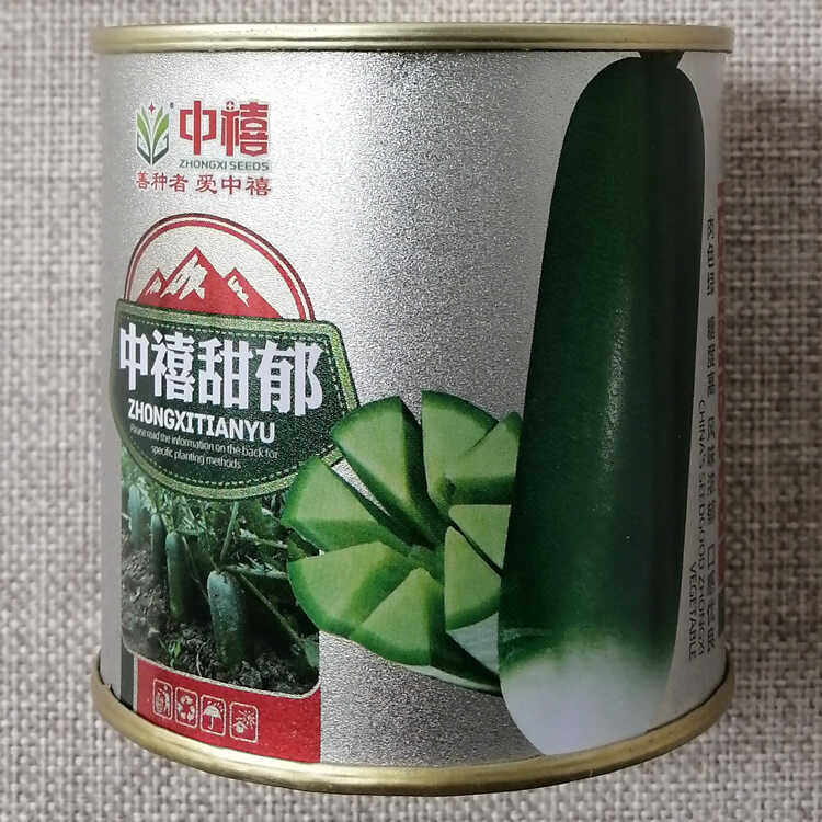 中禧甜郁水果萝卜种子绿肉糖度高