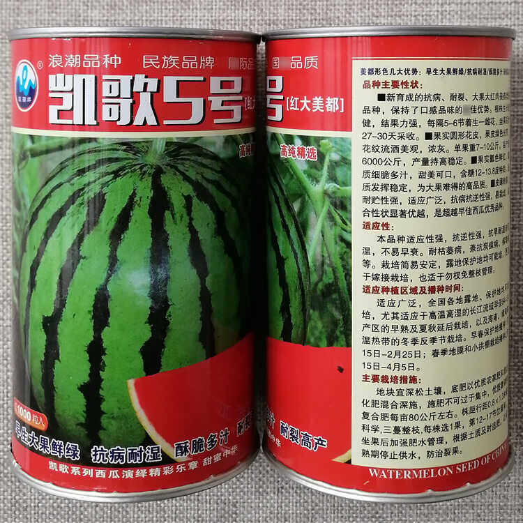 凯歌5号西瓜种子薄皮大果美都