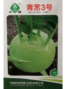 中蔬青丕3号丕蓝种子农科院高产