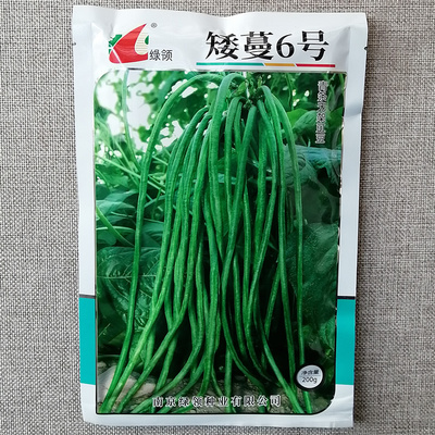 绿领矮蔓青条不搭架豆角种子