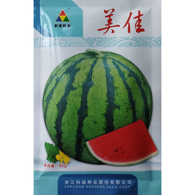 美佳西瓜种子高产美都种籽