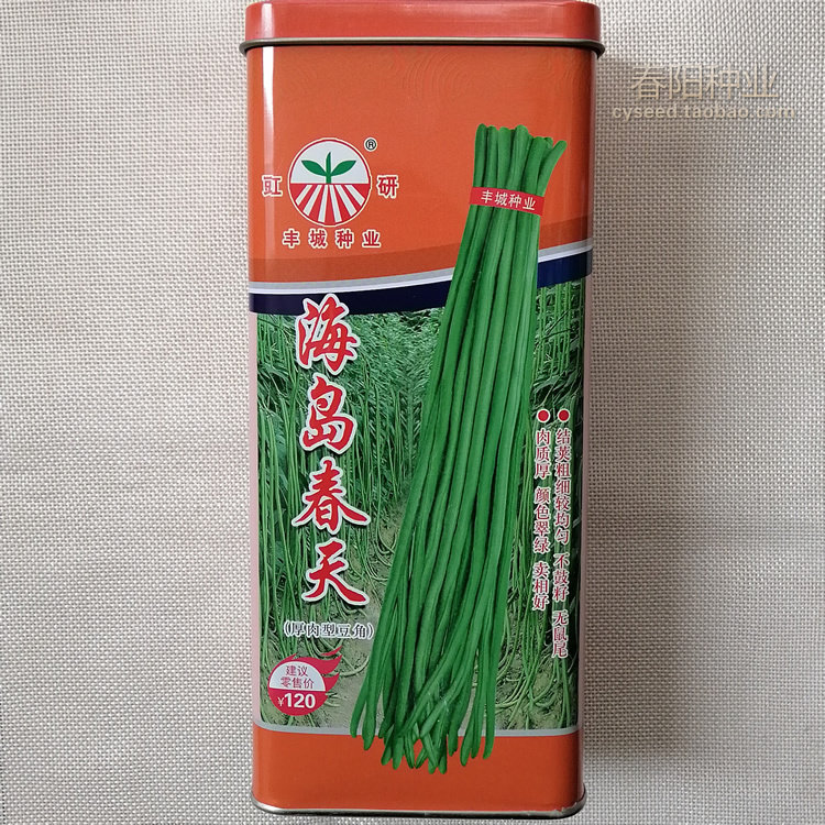 海岛春天豆角种子大富大贵翠绿厚肉蔬菜豇豆种籽粗细均匀豆荚顺直