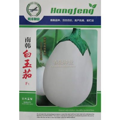 果实椭圆形早熟高产白玉茄子种子