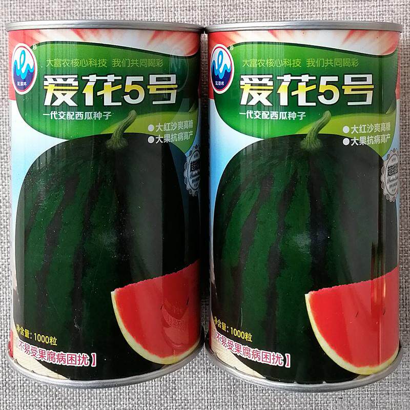 西瓜种子黑花皮大果高糖度耐储存