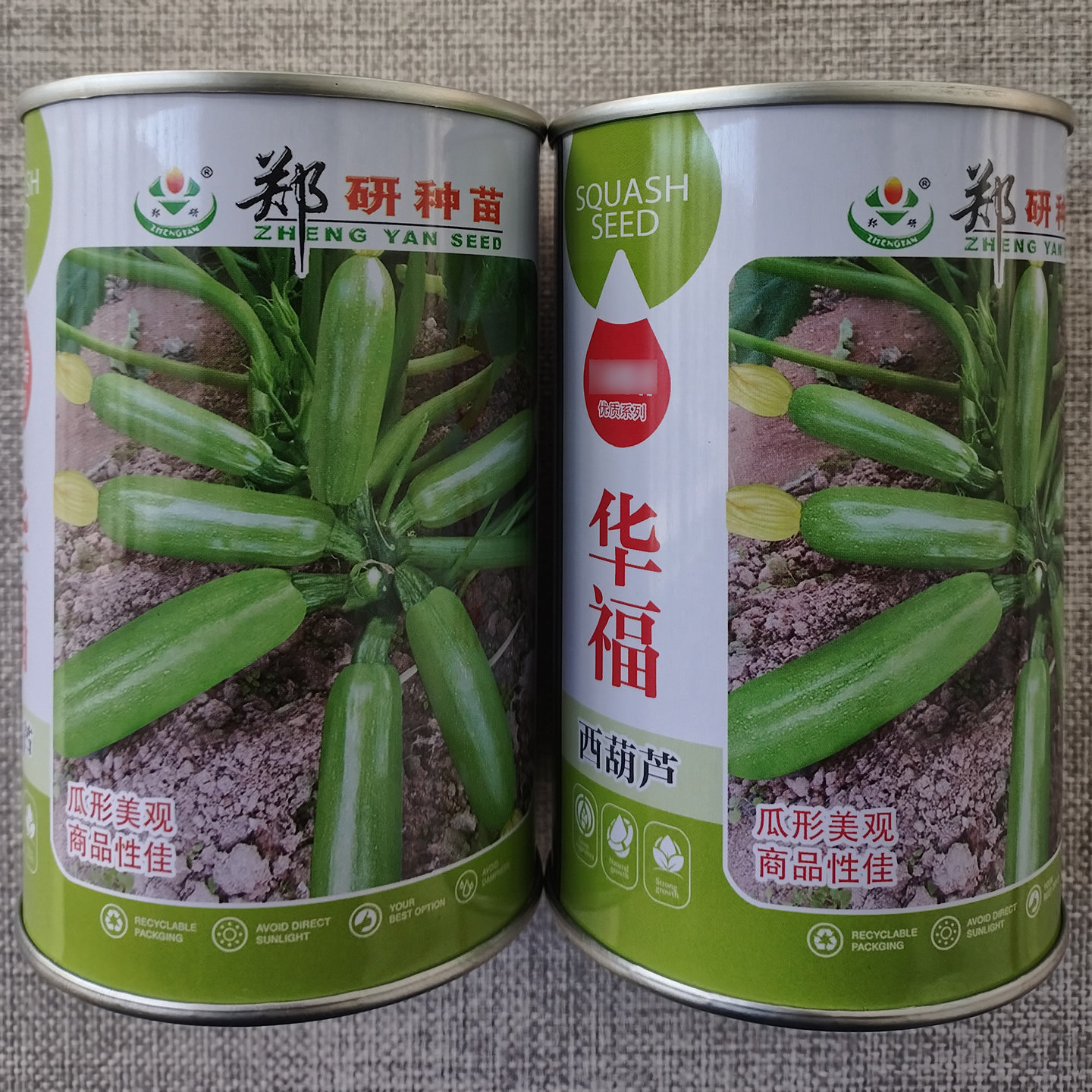 郑研华福西葫芦种子翠绿油亮抗病
