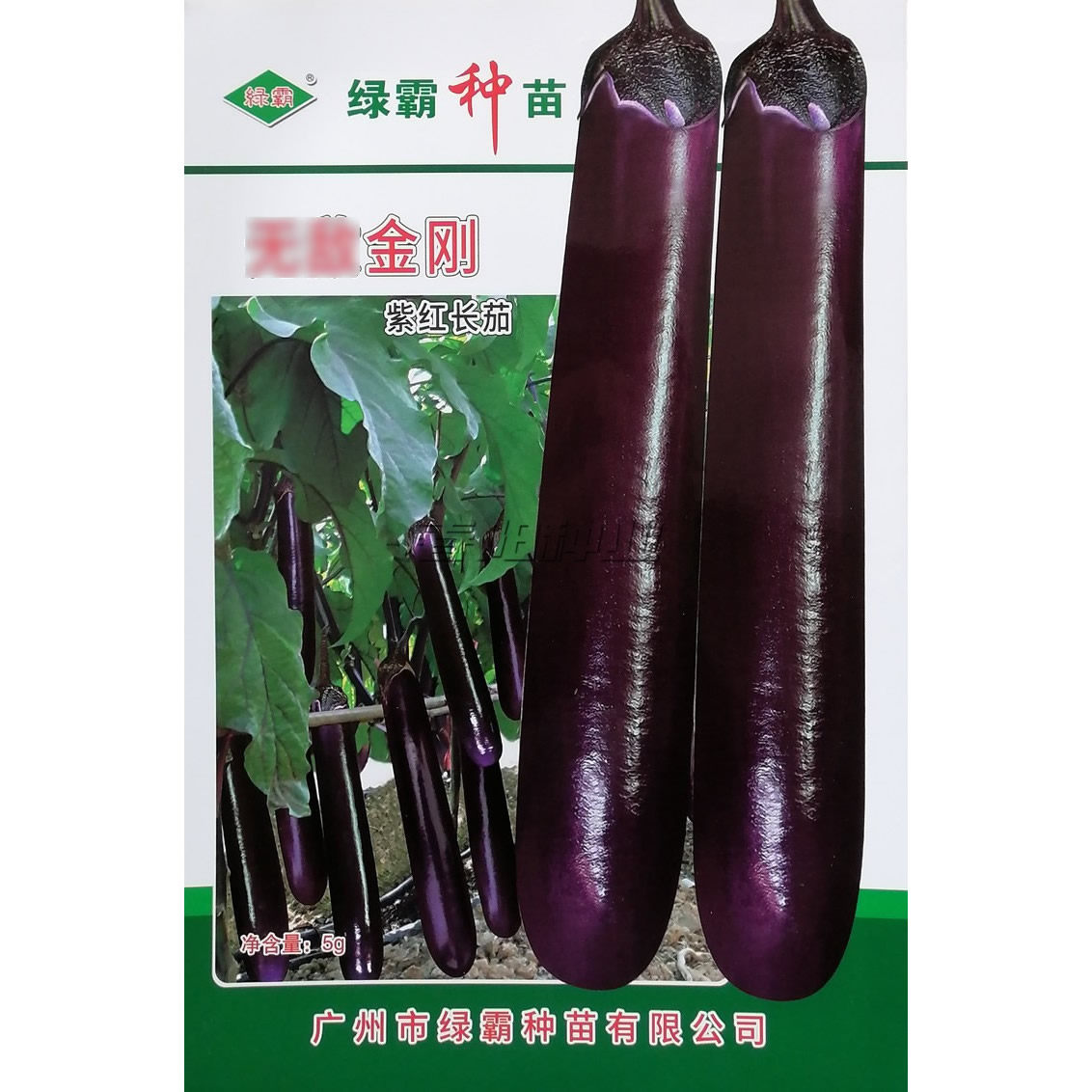 绿霸金刚紫红长茄种子顺直美观果皮深紫红色中早熟深紫红茄子种籽