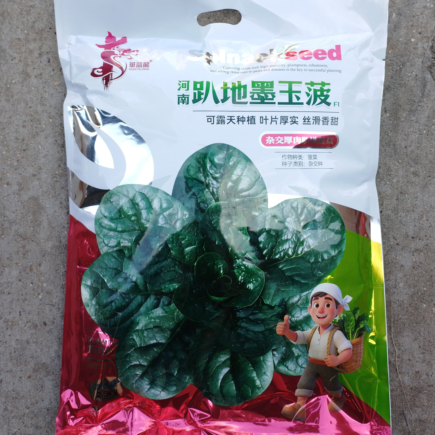爬地墨玉菠菜种子耐寒口感清甜