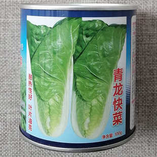 申荣青龙快菜种子速生无茸毛柔软耐热杂交小白菜种籽叶片油亮嫩绿