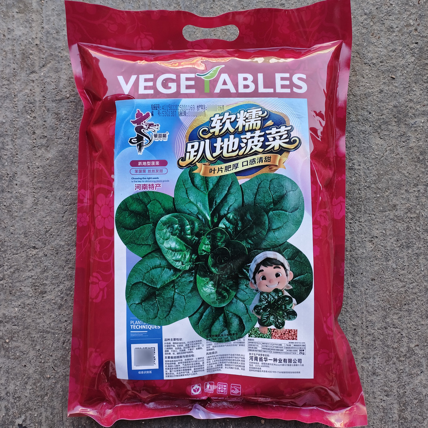 软糯塌地菠菜种子爬地圆叶黑美菠