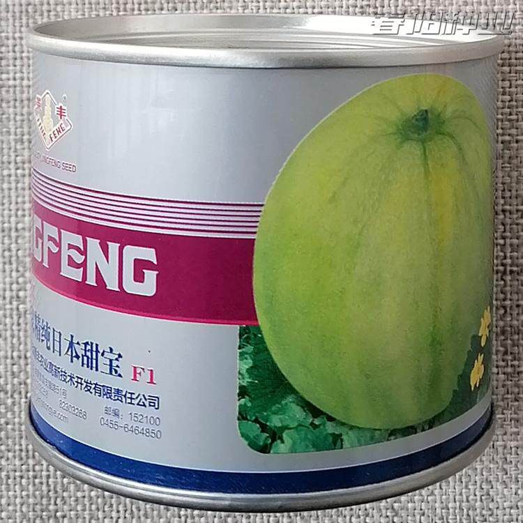 景丰改良精纯日本甜宝种子高糖薄皮甜瓜香瓜种籽脆嫩爽口香味浓郁