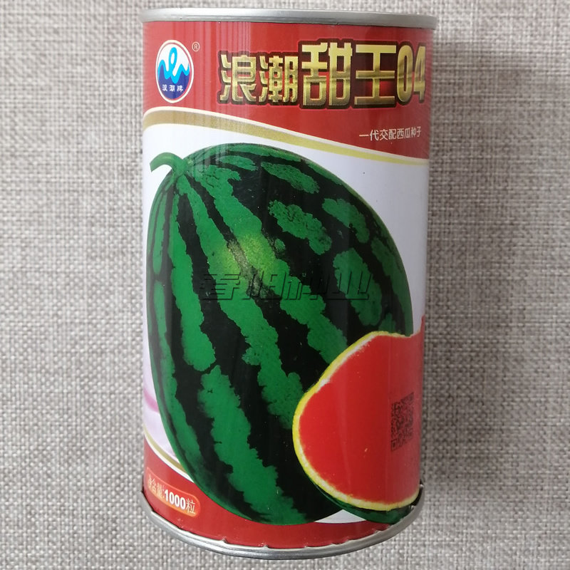 浪潮甜王04西瓜种子甜美多汁