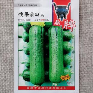 鼎牌硬果亲田硬果太美大棚之爱丝瓜种子翠绿短棒糯香高产丝瓜种籽