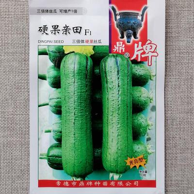 鼎牌早熟糯香硬果丝瓜种子