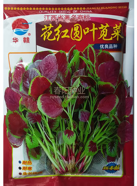 蔬菜花红基地型一斤装苋菜种子