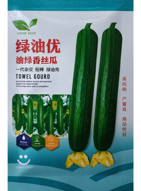 绿油优油绿短棒丝瓜种子节节有瓜